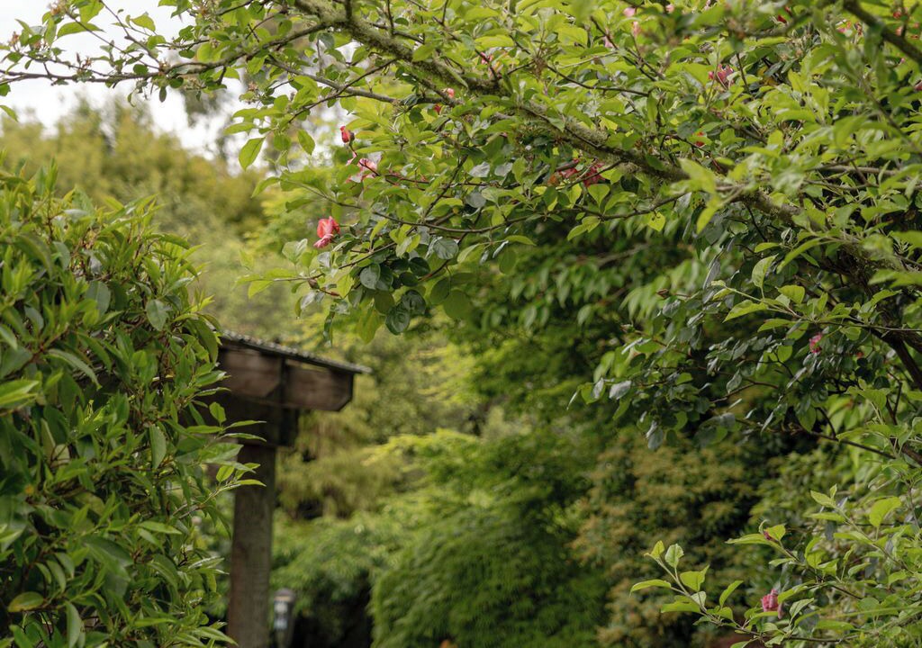 Photo of Outdoor in Acacia Bay