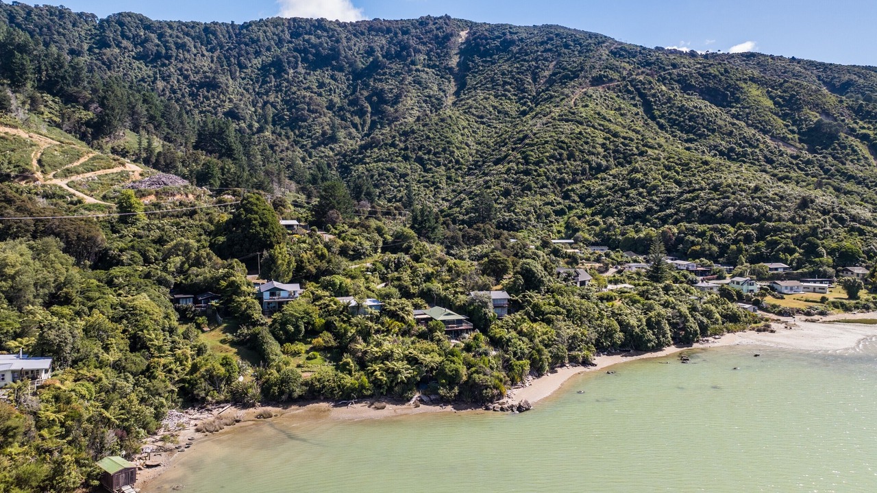Photo of Outdoor in Havelock