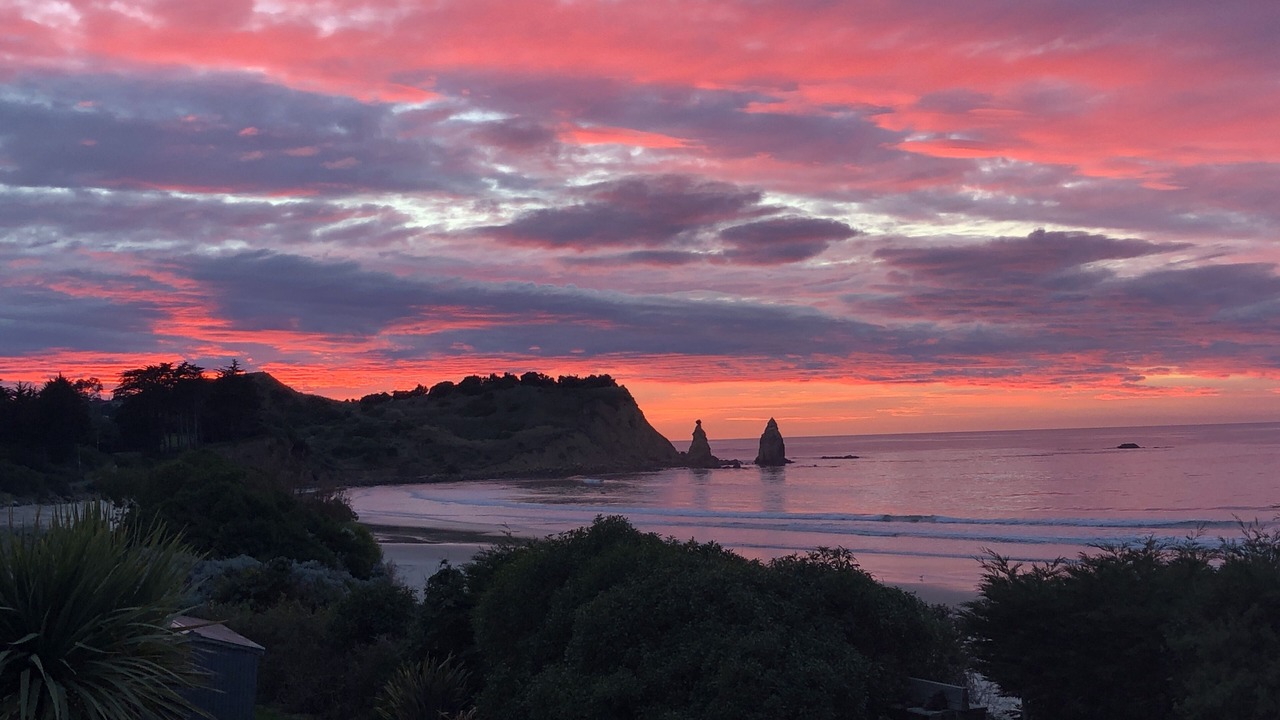 Photo of Others in Otago