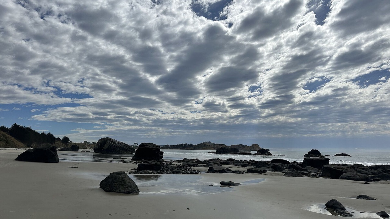 Photo of Others in Otago