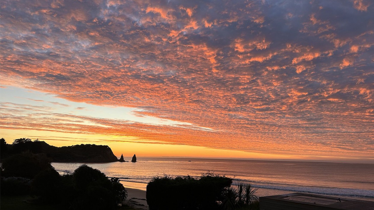 Photo of Others in Otago