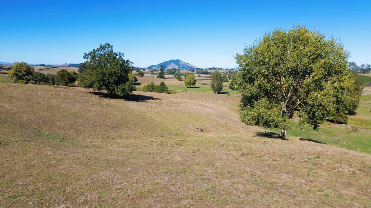 Photo of Others in Te Awamutu