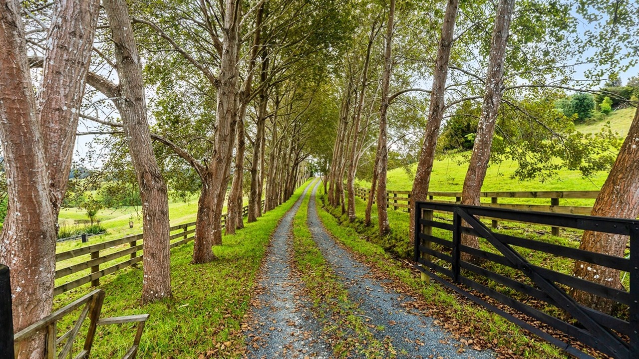 Photo of Outdoor in Warkworth