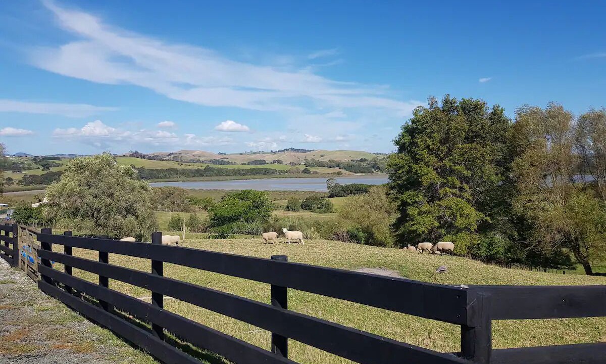Photo of Others in Paparoa