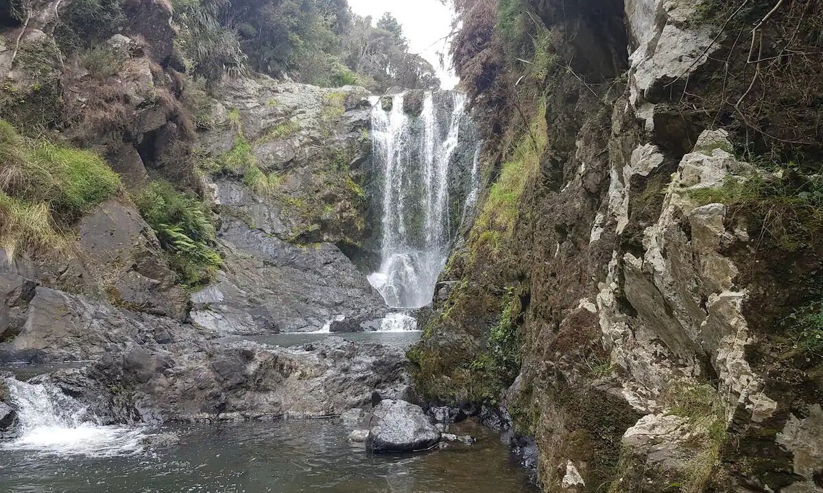 Photo of Others in Paparoa