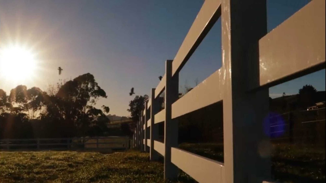 Photo of Outdoor in Waitoki