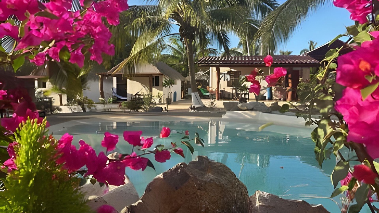 Photo of Outdoor in Saladita