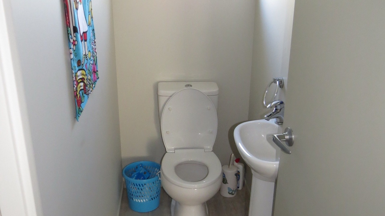 Photo of Bathroom in Waihi Beach