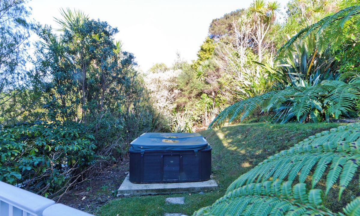 Photo of Outdoor in Tawharanui