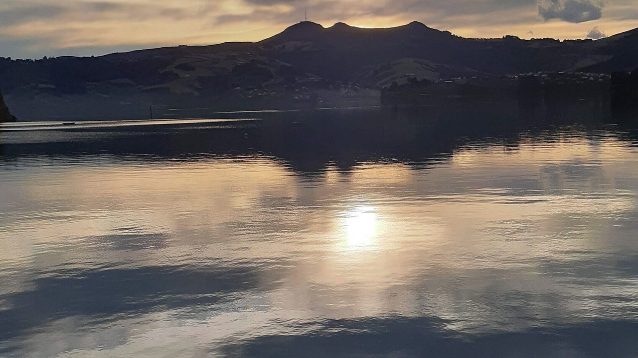 Photo of Others in Dunedin