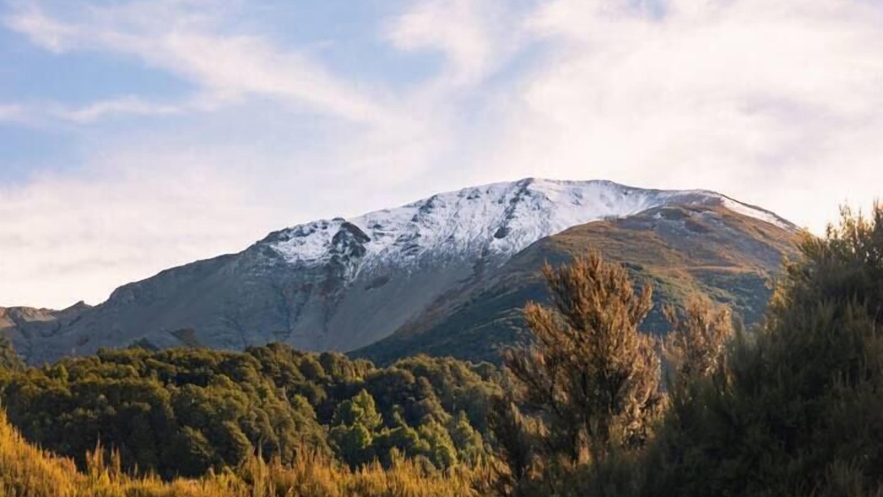 Photo of Others in Mt Lyford