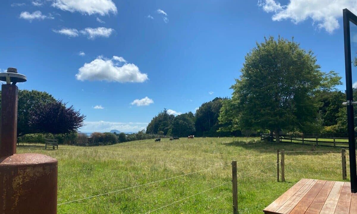Photo of Outdoor in Whakamarama