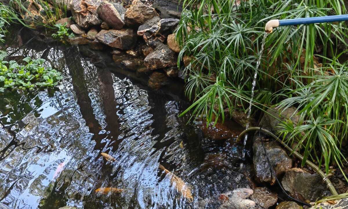 Photo of Outdoor in San Felipe del Agua