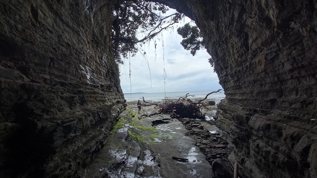 Photo of Others in Mahurangi West