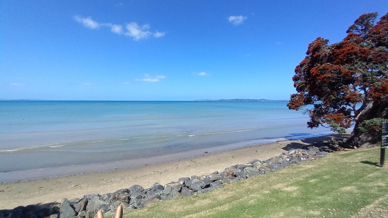 Photo of Others in Mahurangi West