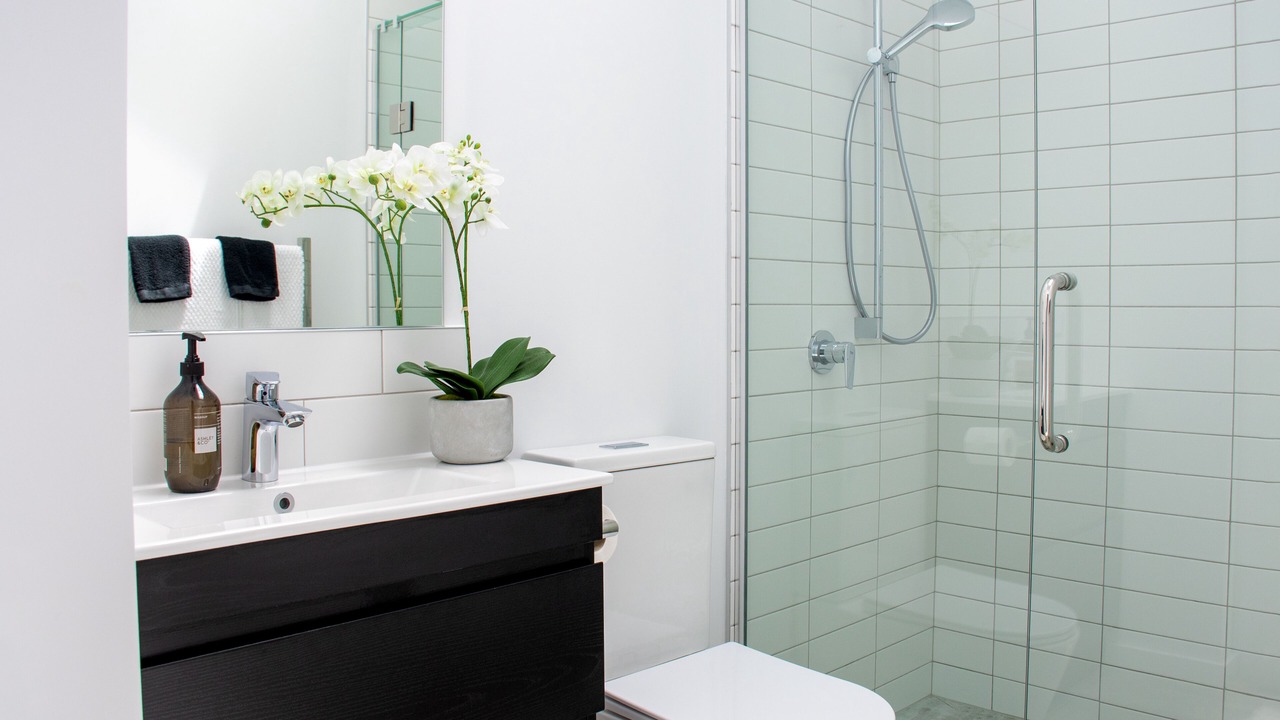 Photo of Bathroom in Matakana