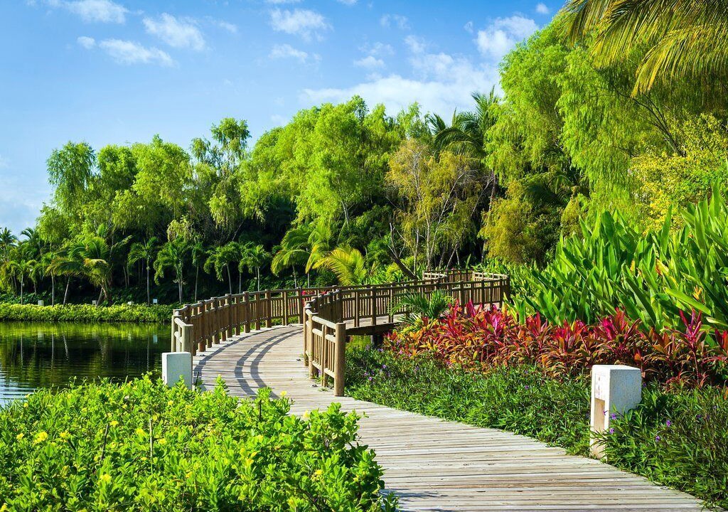 Photo of Outdoor in Valle Dorado
