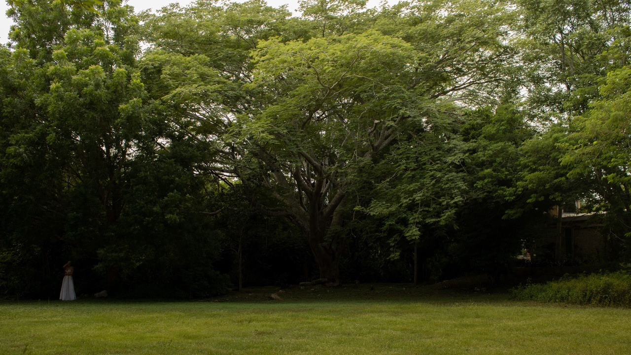 Photo of Outdoor in Xocchel