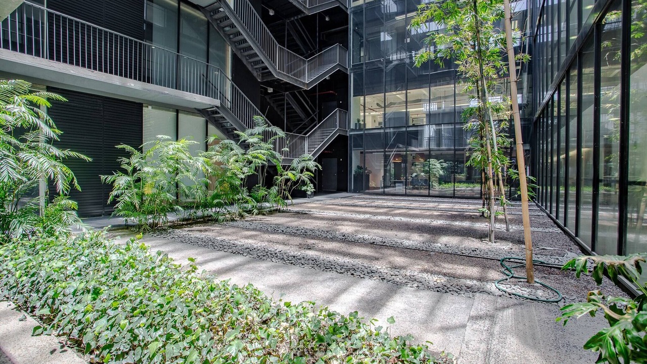 Photo of Outdoor in Reforma