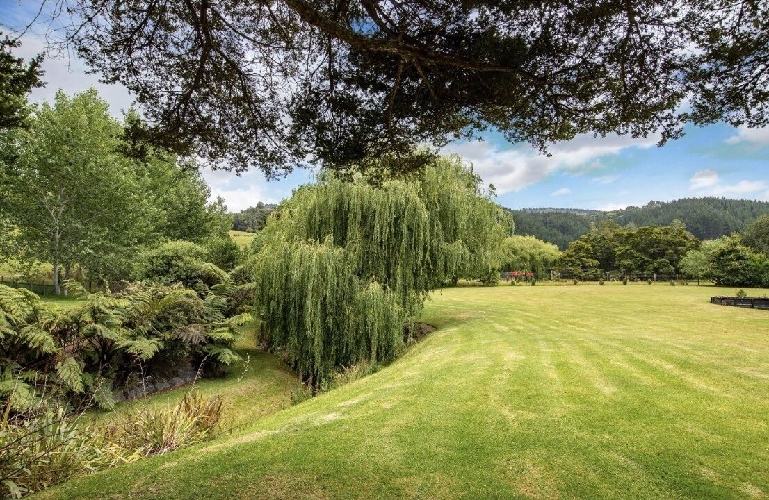 Photo of Outdoor in Matakana