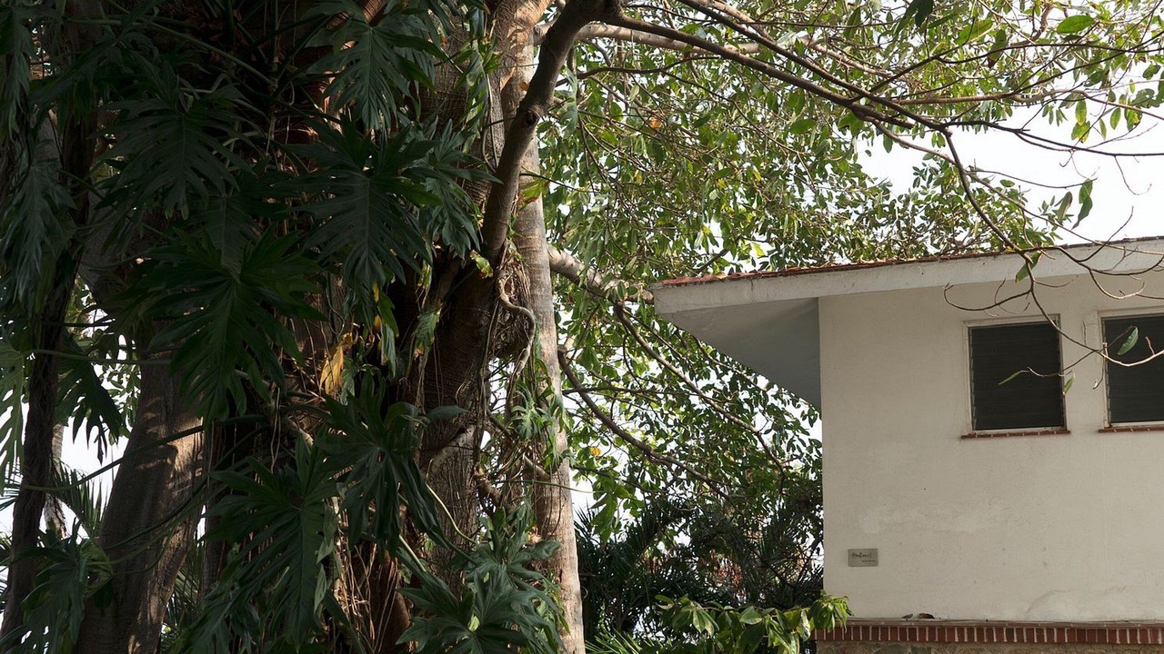Photo of Patio Balcony in Las Playas