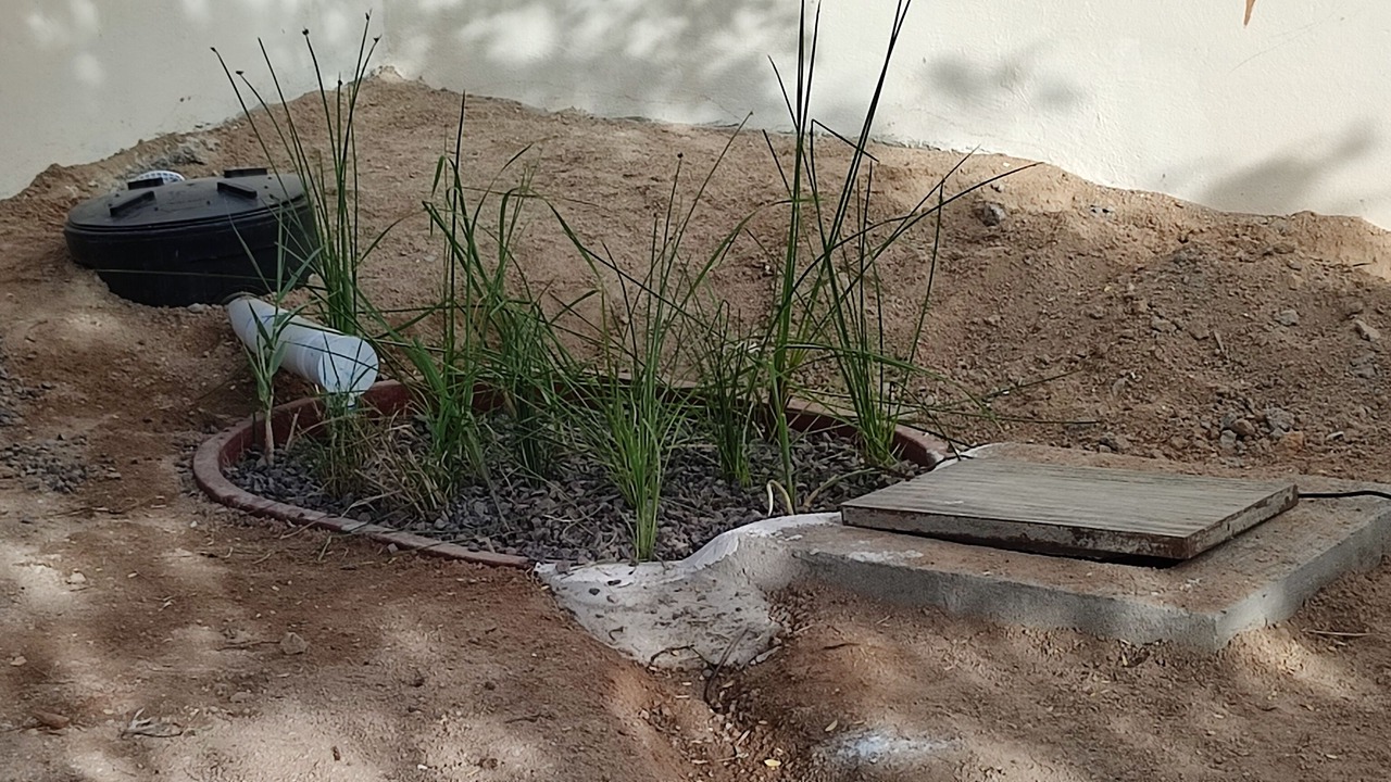 Photo of Outdoor in El Sargento