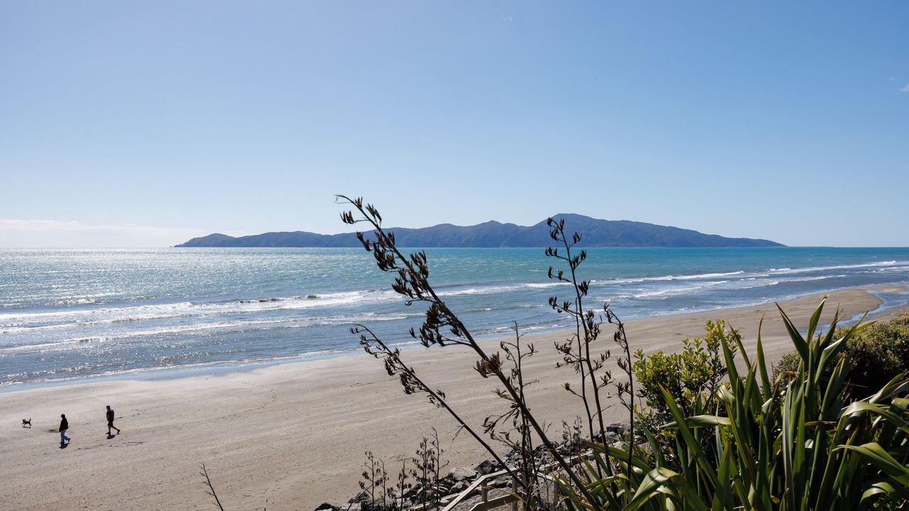 Photo of Others in Raumati South