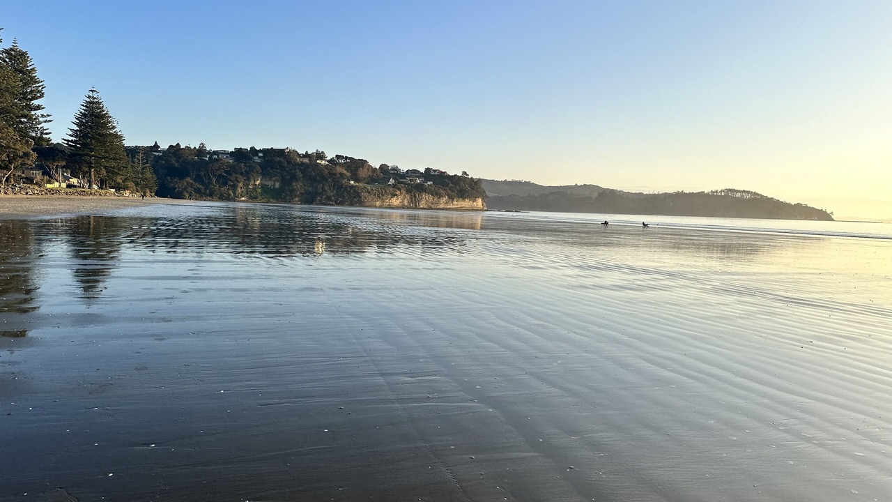 Photo of Others in Orewa
