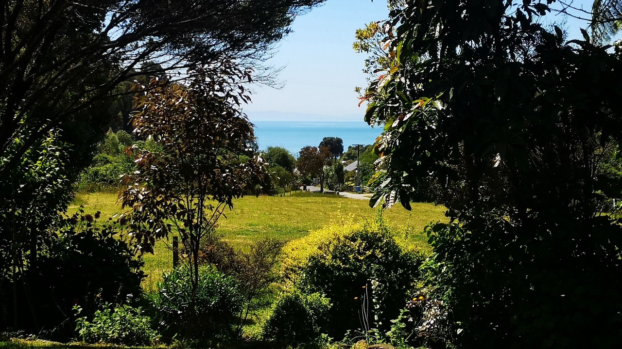 Photo of Outdoor in Pohara