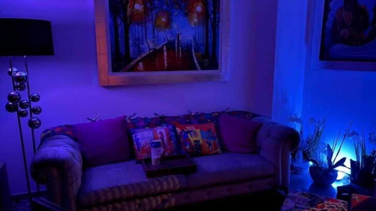 Photo of Livingroom in Coyoacan