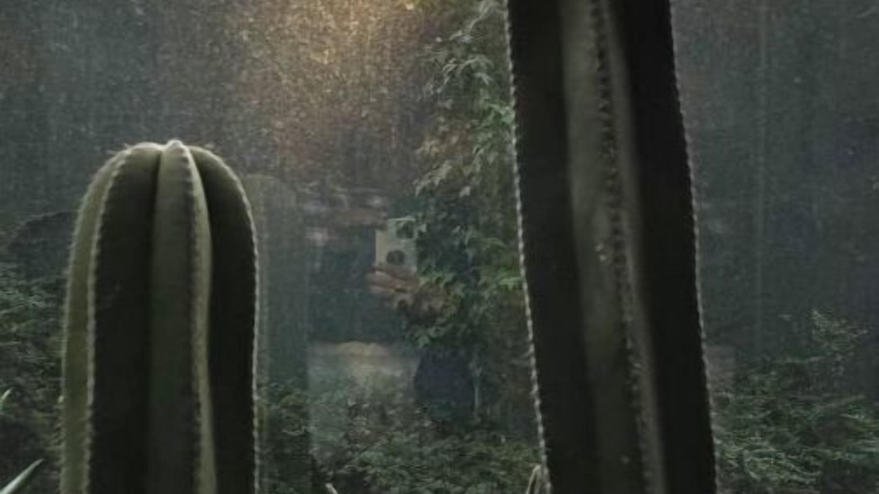Photo of Others in Coyoacan