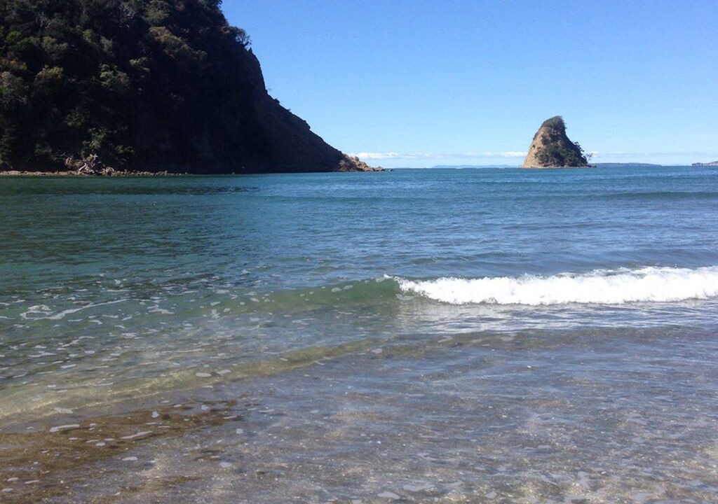 Photo of Others in Waiwera