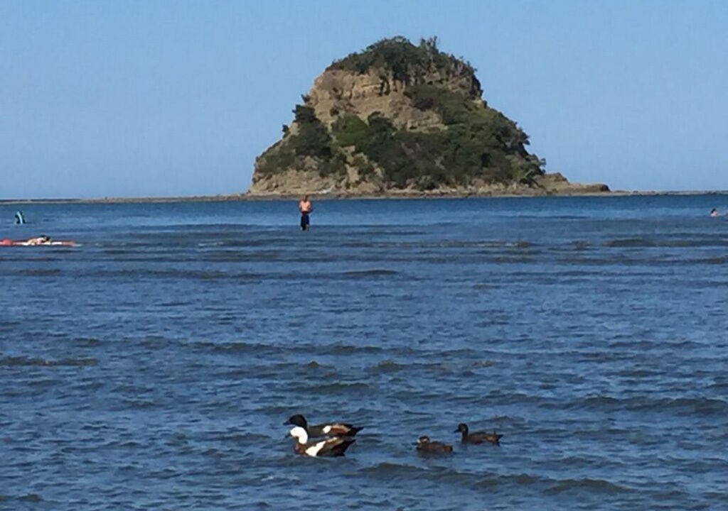 Photo of Others in Waiwera
