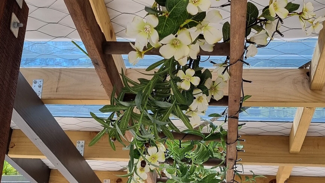 Photo of Outdoor in Kawerau