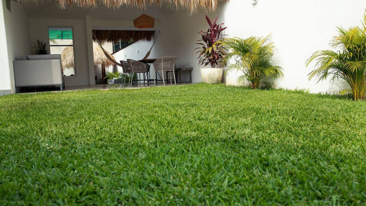 Photo of Outdoor in P Chahue