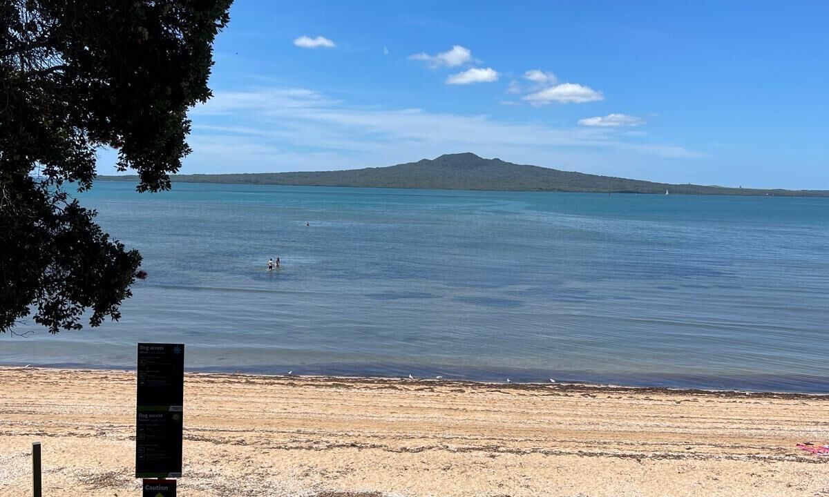 Photo of Others in Devonport