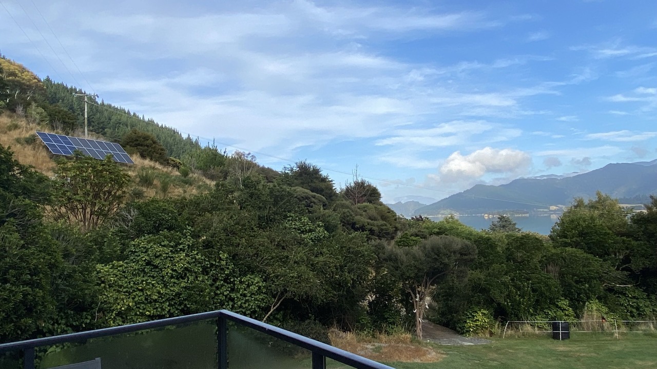 Photo of Outdoor in Waitaria Bay