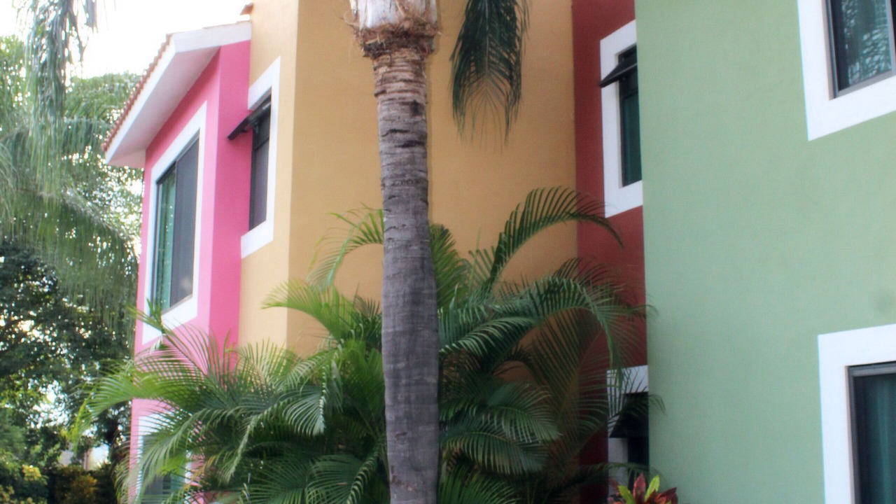 Photo of Outdoor in Chiconcuac