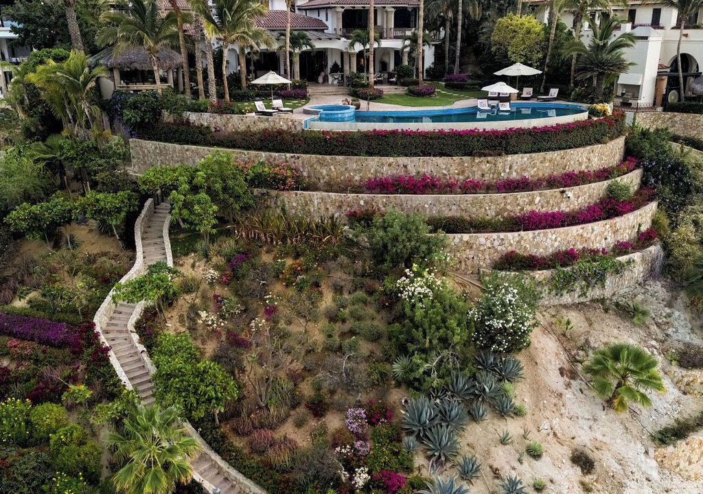 Photo of Others in San Jose del Cabo