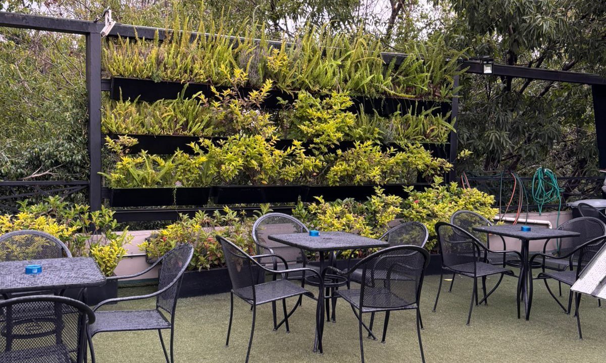 Photo of Outdoor in Downtown Mexico City
