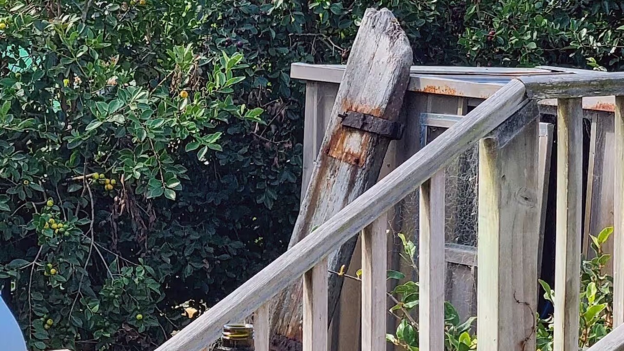 Photo of Outdoor in Whangaparaoa