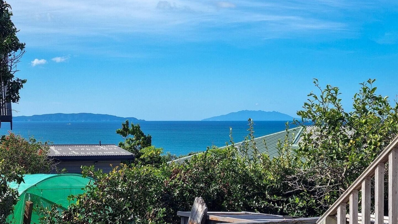 Photo of Outdoor in Whangaparaoa