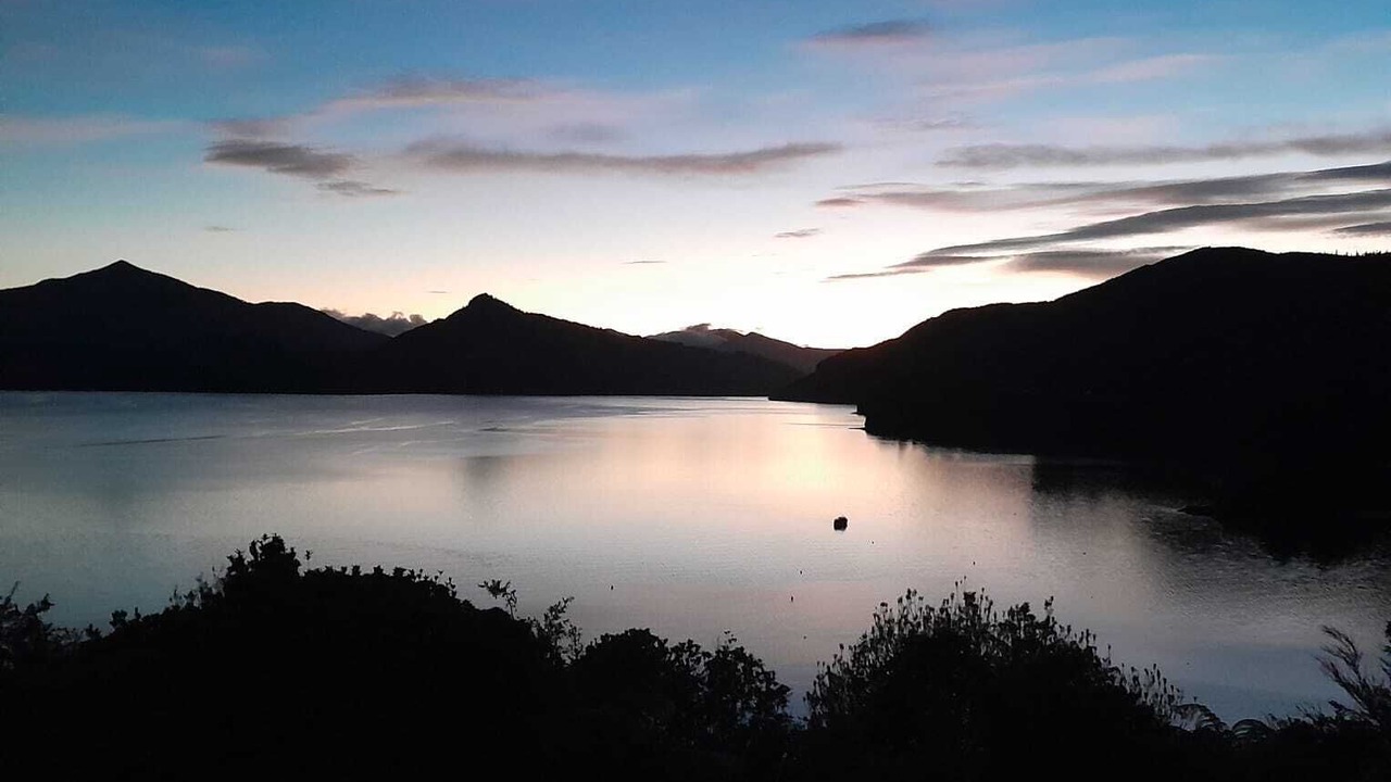 Photo of Others in Moetapu Bay