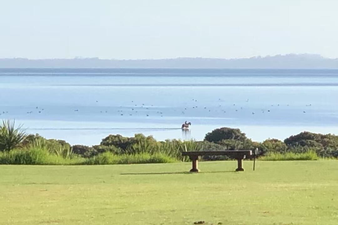 Photo of Others in Clarks Beach