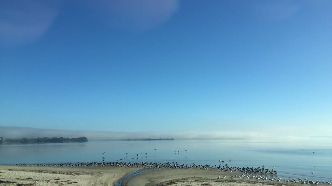 Photo of Others in Clarks Beach