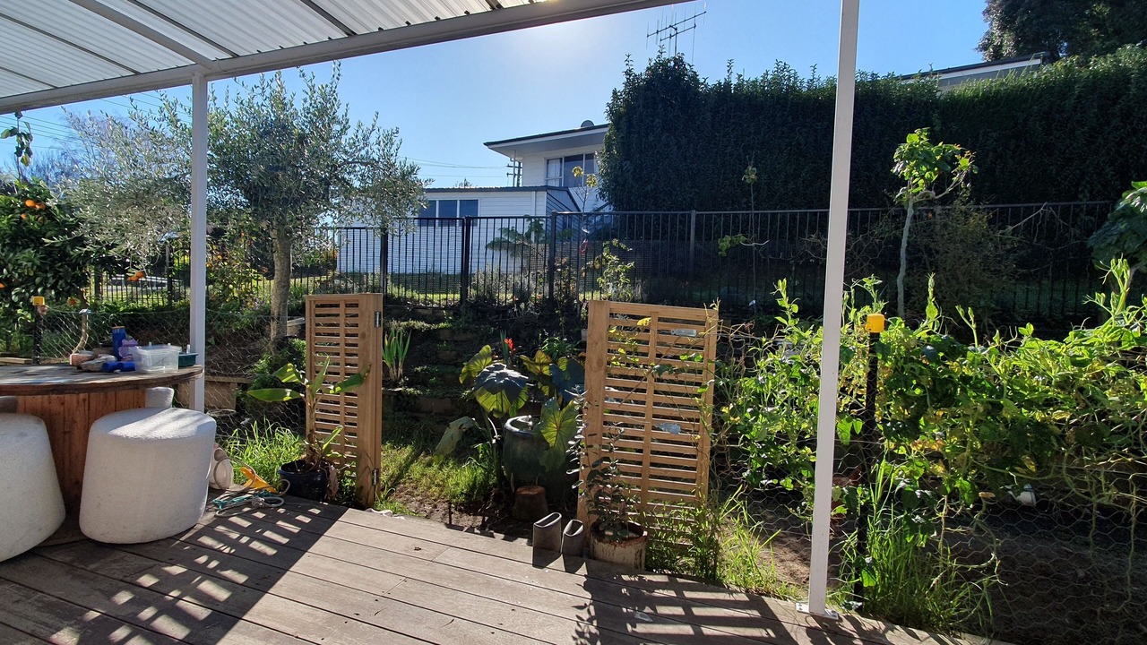 Photo of Outdoor in Tauranga
