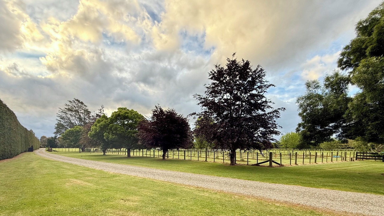 Photo of Others in Masterton