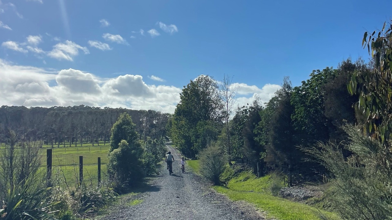 Photo of Others in Matakana
