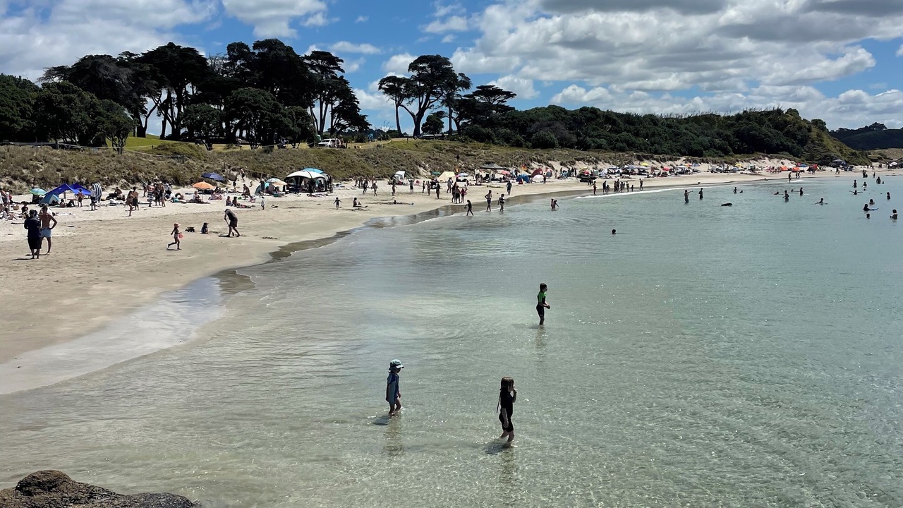 Photo of Others in Matakana