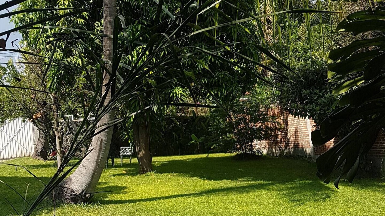 Photo of Outdoor in Xochitepec